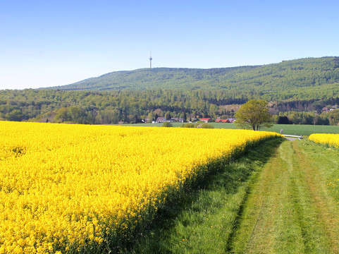 Deister Süntel MTB Verleih-Hulsede必去景点