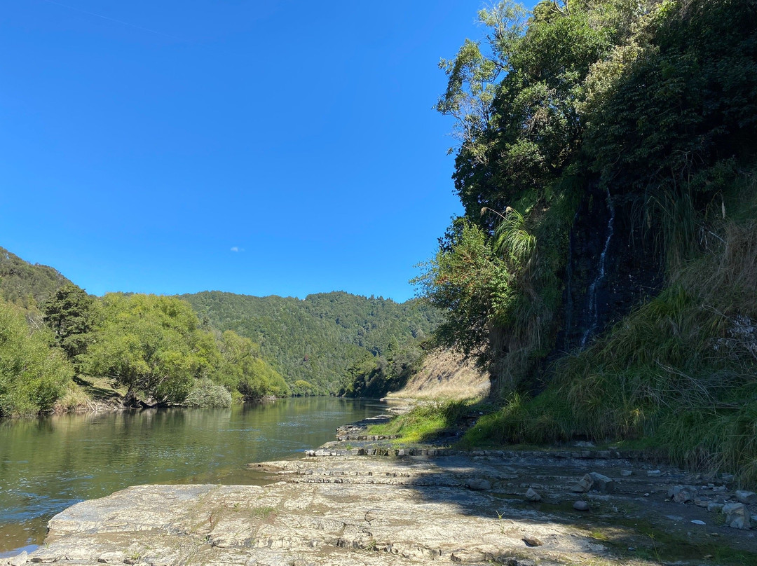 Taumarunui Canoe Hire and Jet Boat Tours景点图片