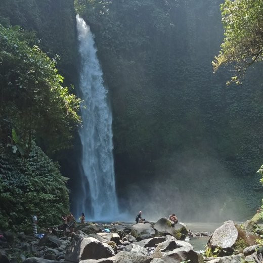 Aling-Aling Waterfall景点图片