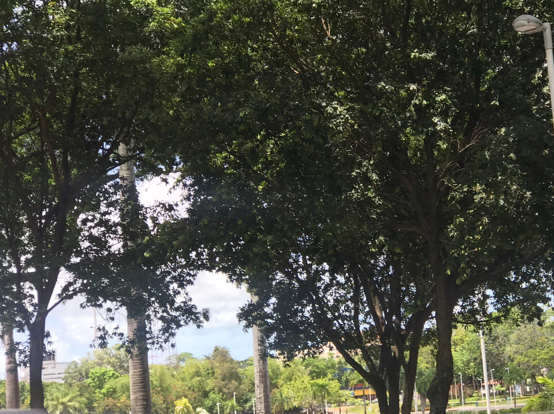 Parque Solon de Lucena景点图片
