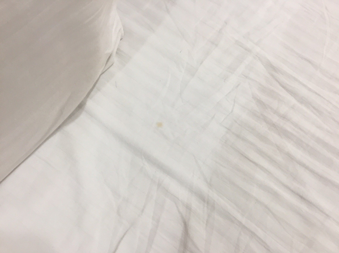 Hotel Santosh Dham主图