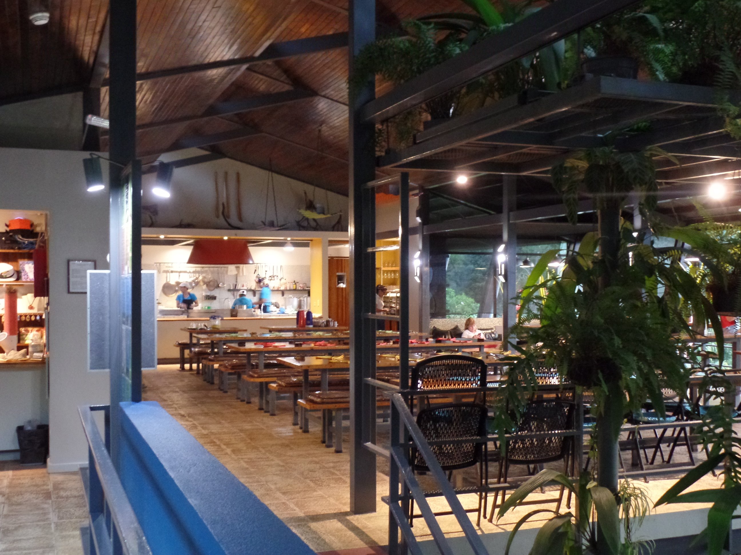 Celeste Mountain Lodge-餐饮