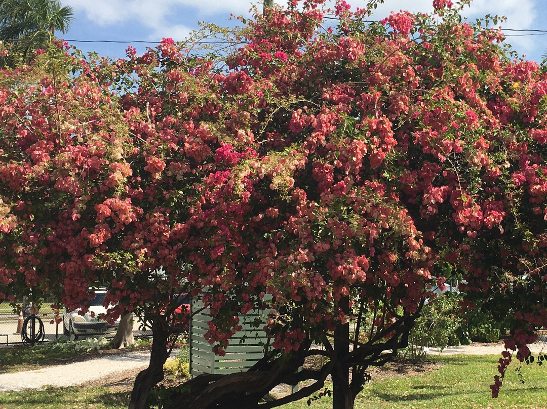 Edison Park Historic District-迈尔斯堡必去景点