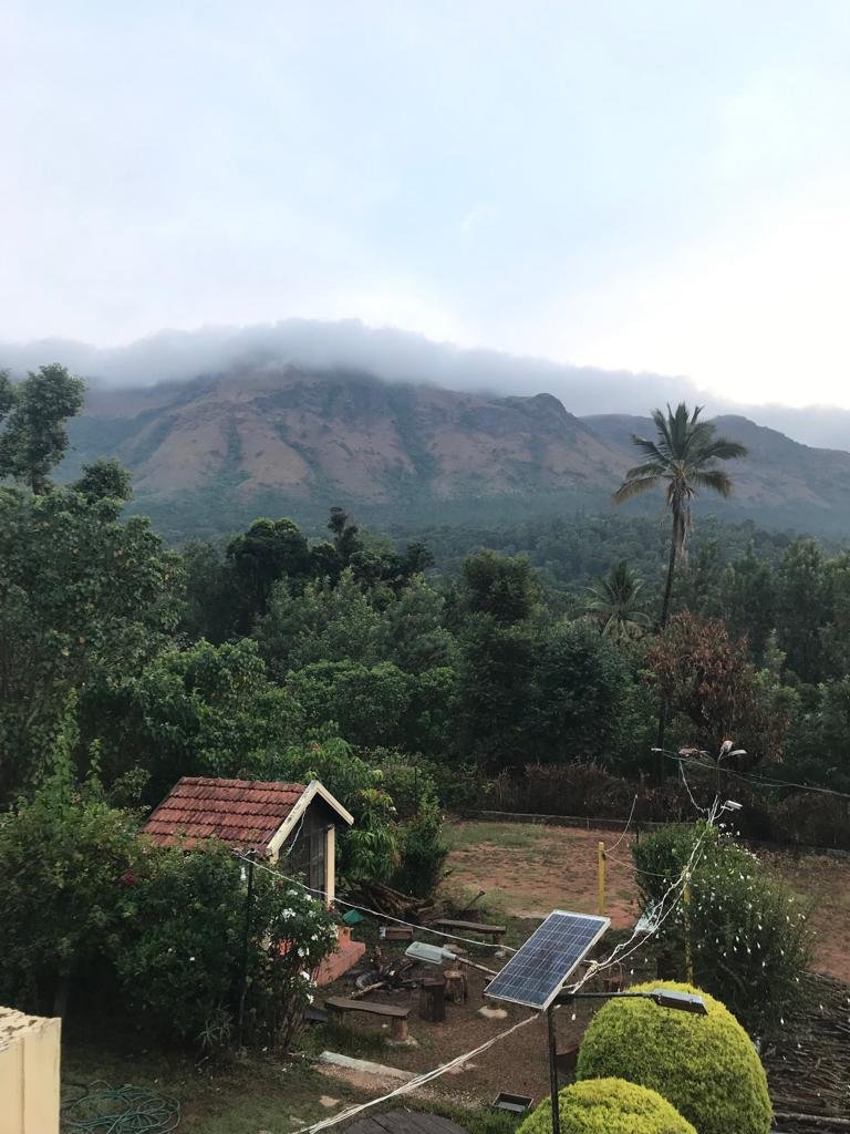 Coffee County Homestay-官方