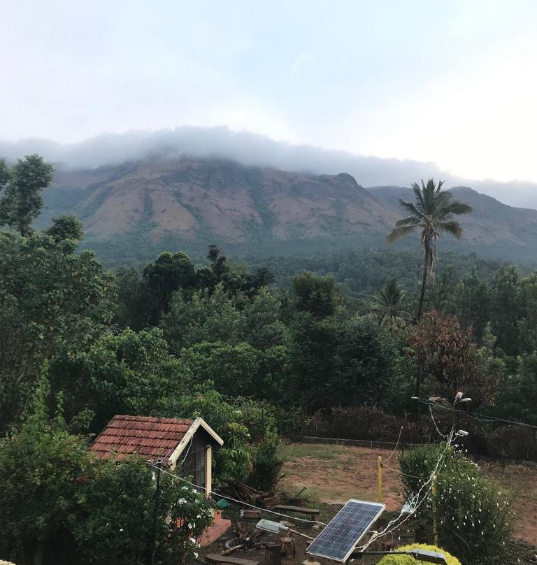 Coffee County Homestay主图