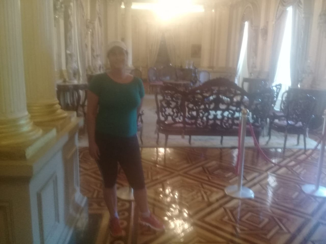 Palacio do Campo das Princesas景点图片
