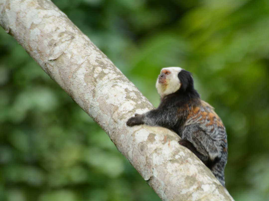 Hotel Espaco Verde主图