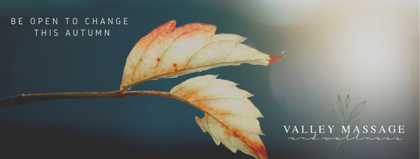 Valley Massage and Wellness景点图片