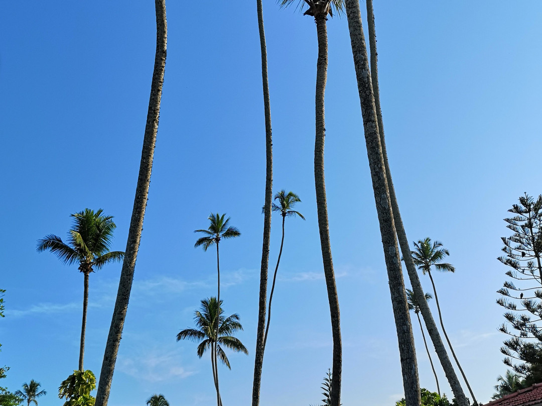 维利格玛海湾度假村主图