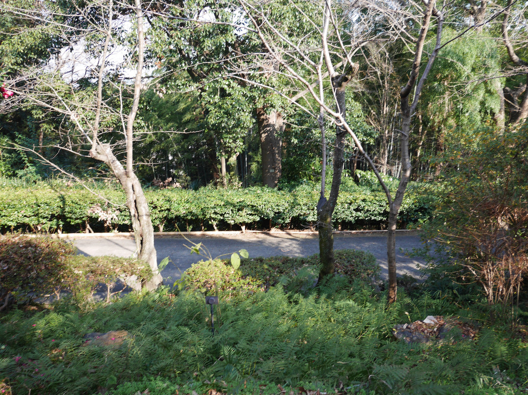 Tsurugatayama Park景点图片