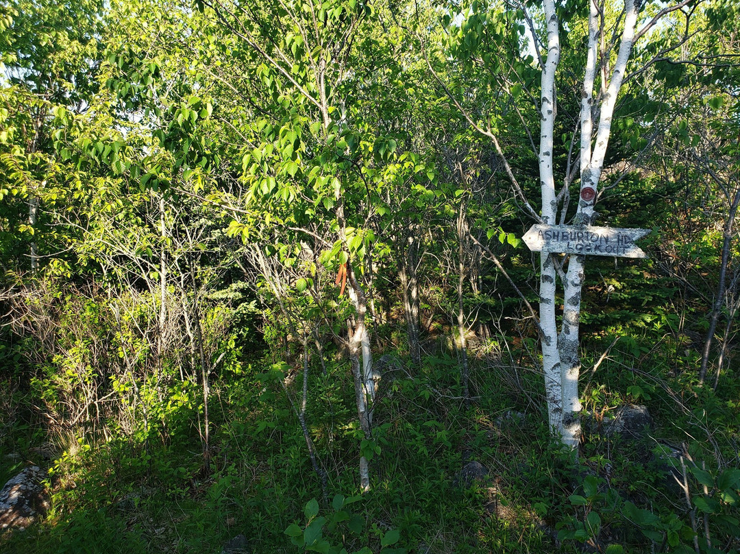 Thomas B. Munro Memorial Nature Preserve景点图片