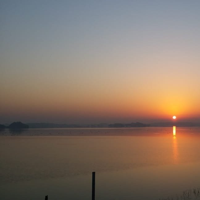 Thol Lake Bird Sanctuary景点图片