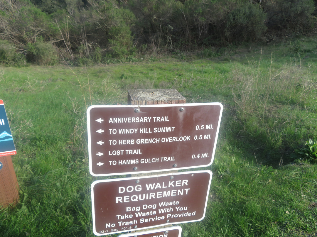Windy Hill Open Space Preserve-洛思阿图斯必去景点