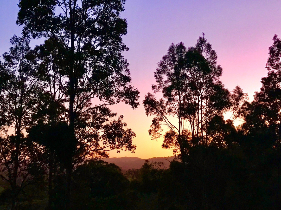 BellbirdHill Bed & Breakfast主图