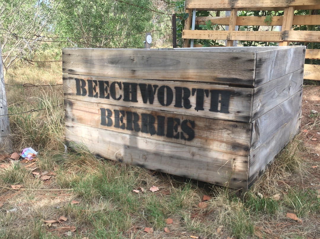Beechworth Berries-比奇沃思必去景点