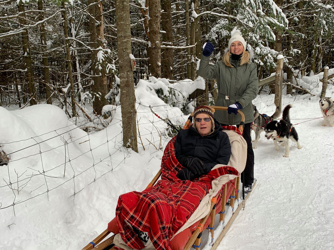 Alaskan Adventure Dog Sledding-Arundel必去景点