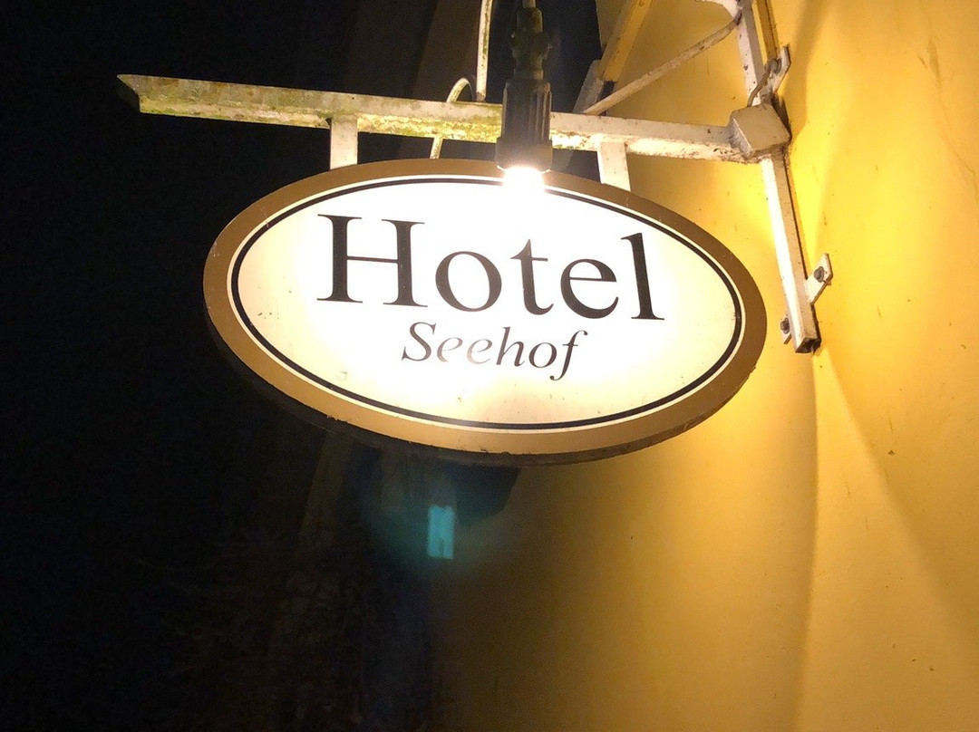 Seehof Netzen Hotel主图