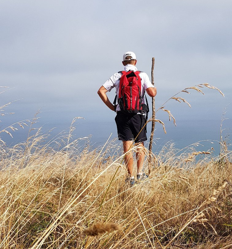 Ocean View Raglan Bed & Breakfast主图