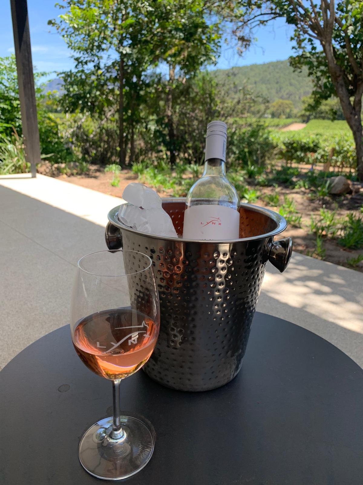 Lynx Estate-酒店景观