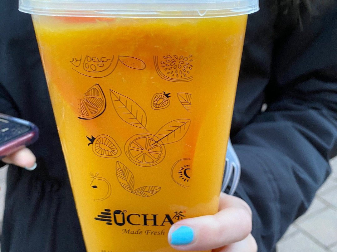 40°Cha Taiwanese Bubble Tea