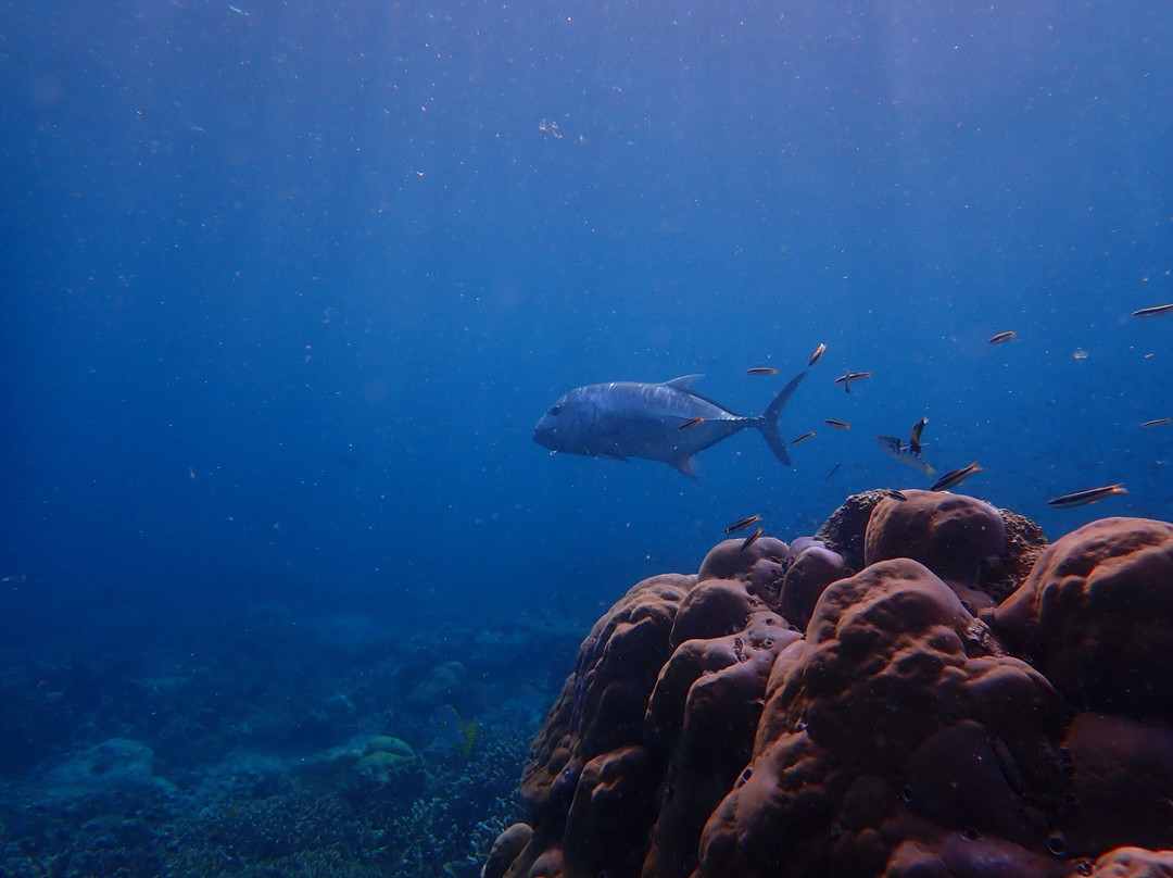 Cape Kri-四王岛必去景点