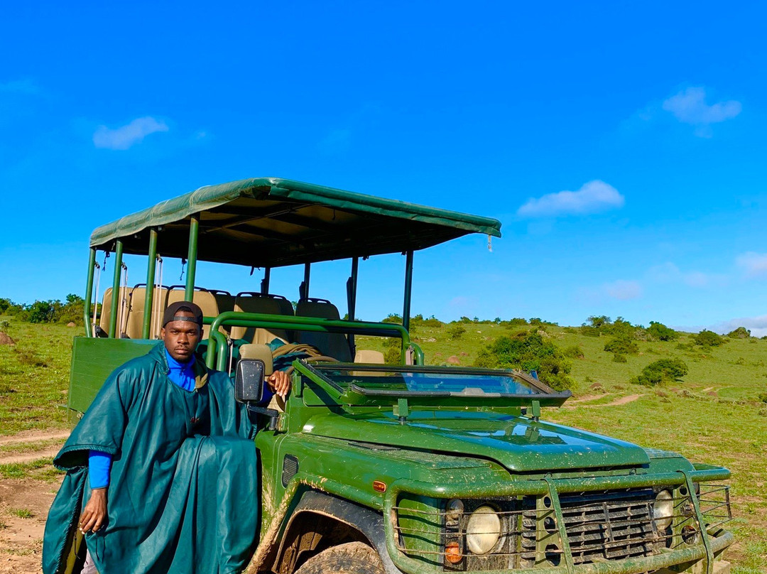 Pumba Private Game Reserve Day Safari景点图片