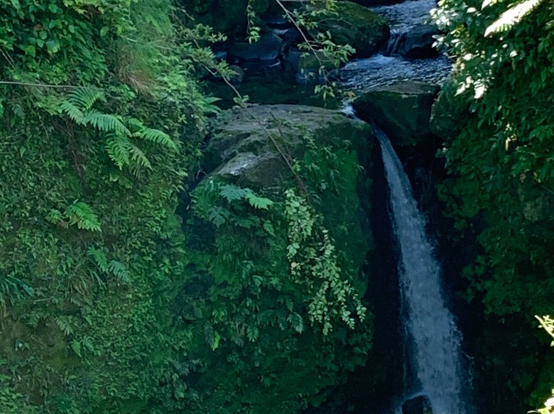 Jacko Falls-Morne Trois Pitons National Park必去景点