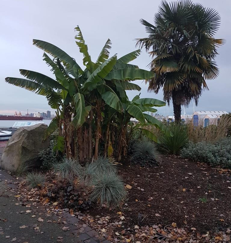 Waterfront Park-北温哥华必去景点