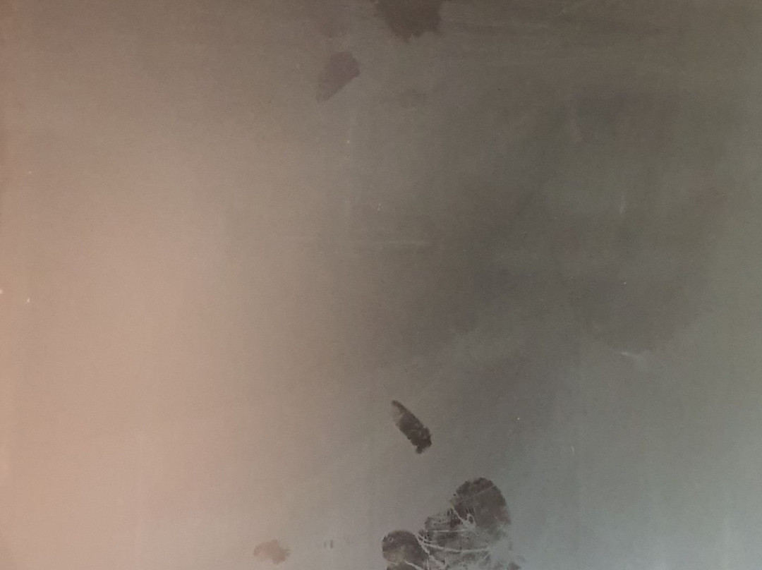 Harben House Hotel主图