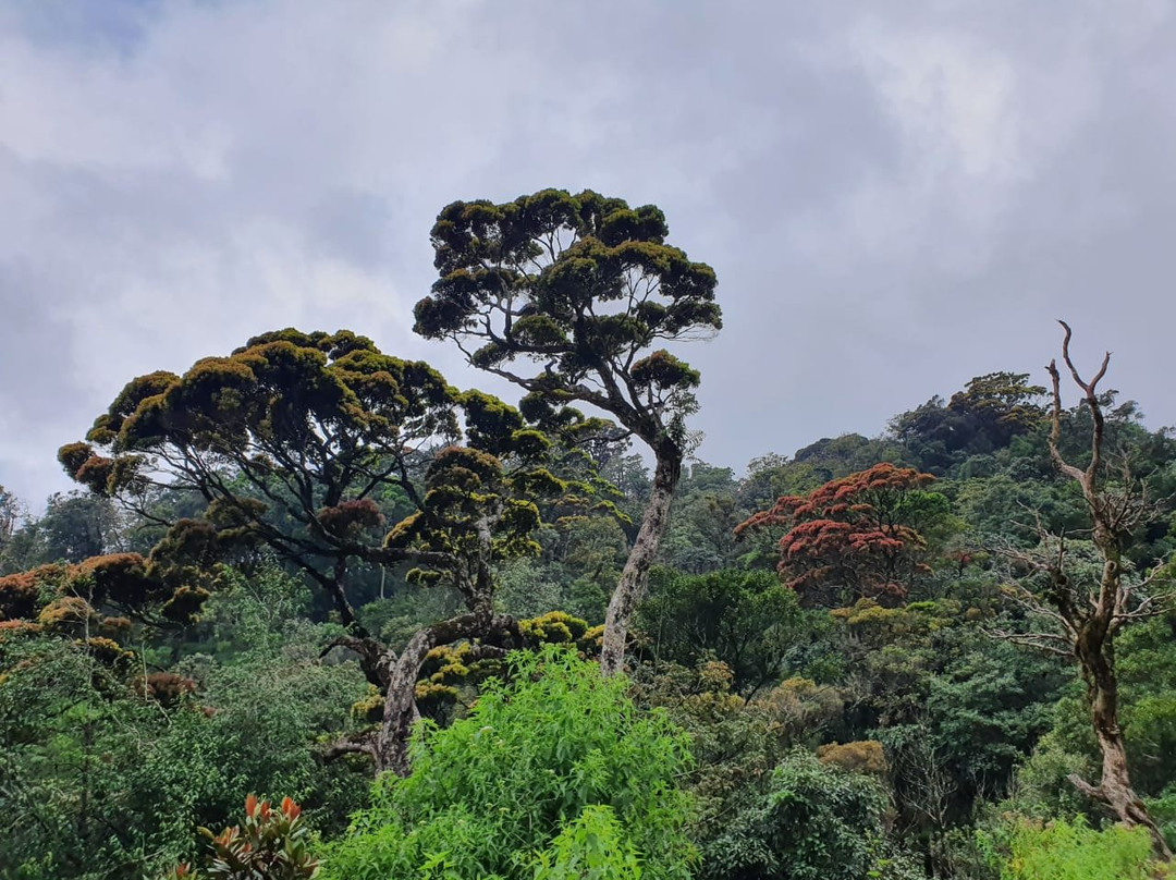 Mandaram Eco Resort主图