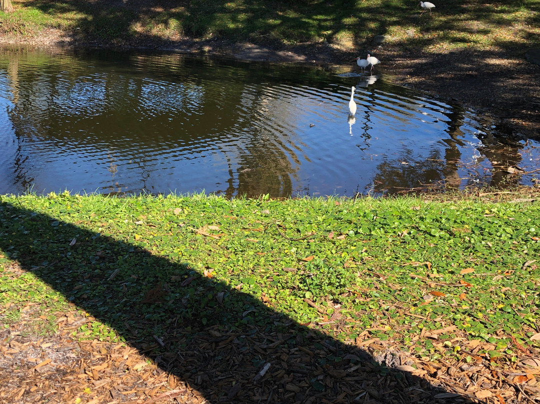 Sims Park-新里奇港必去景点