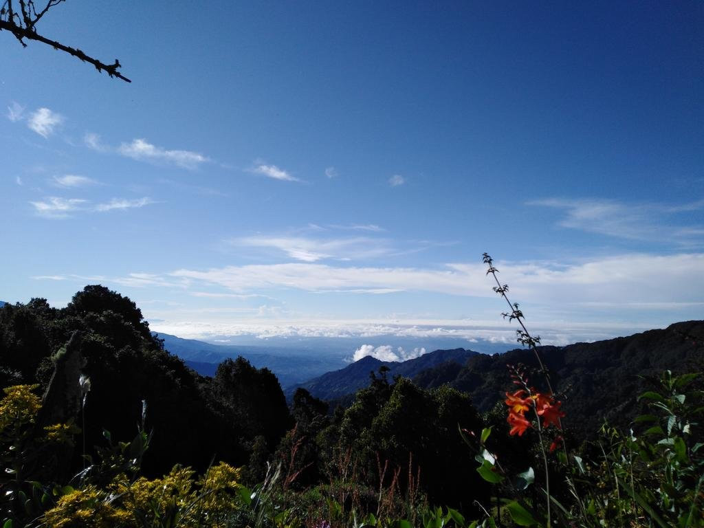 Villa Mills Hiking Lodge