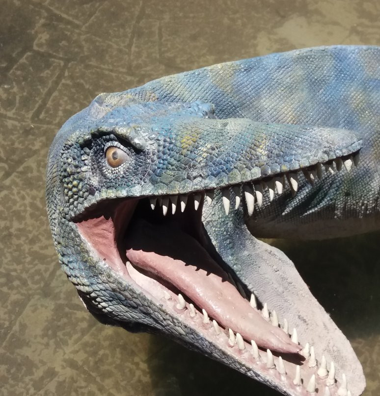 Dinosaur Tracks (Cal Orck'o)-苏克雷必去景点