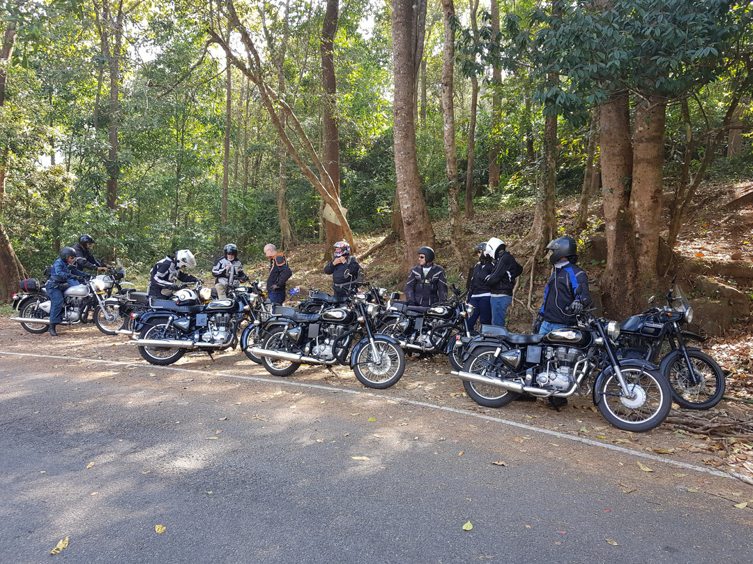 Indian Motorcycle Tours景点图片