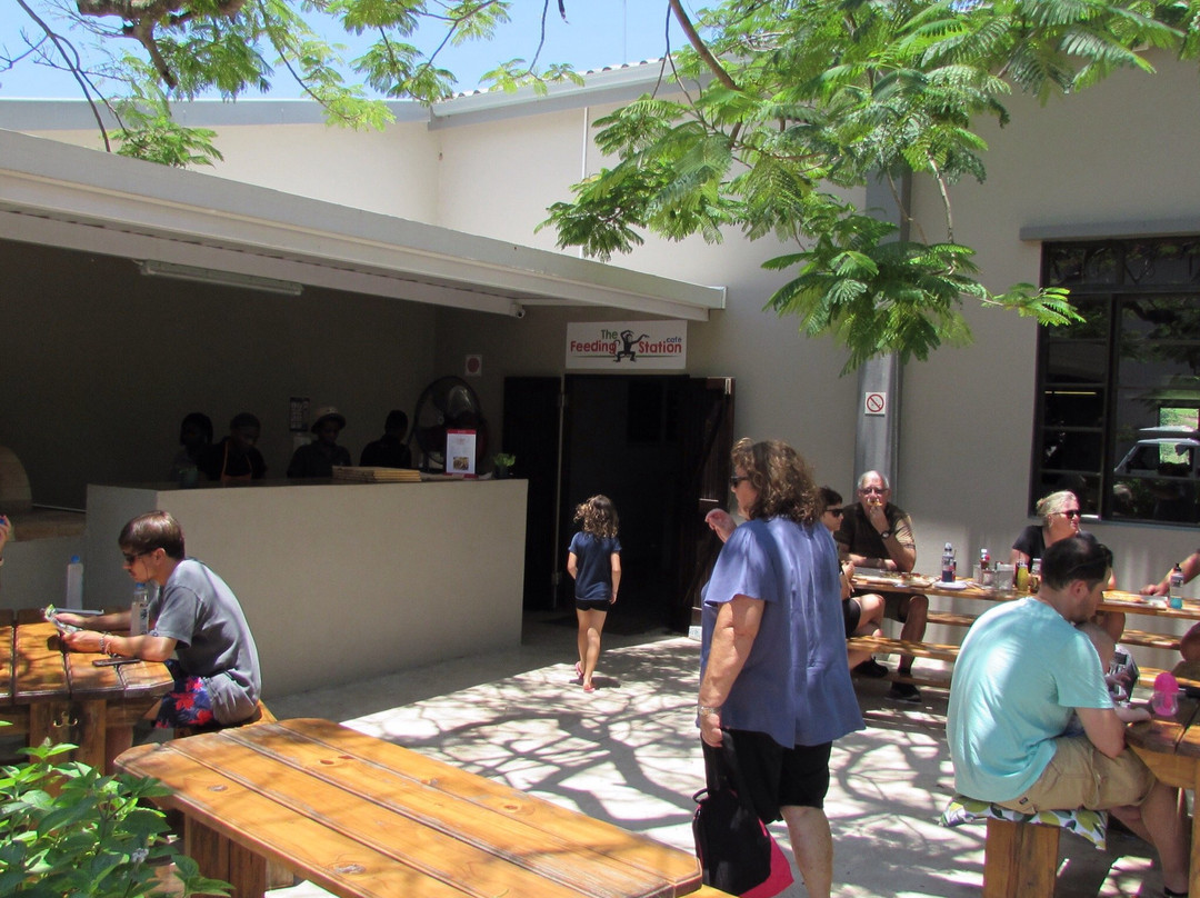 The Hidden Forest Wildlife Sanctuary-巴利托必去景点