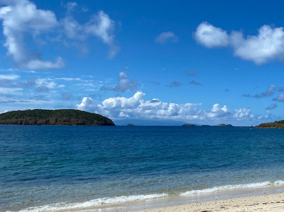 Culebra Island Adventures-库莱布拉岛必去景点