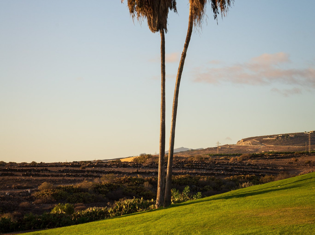 Golf Costa Adeje景点图片