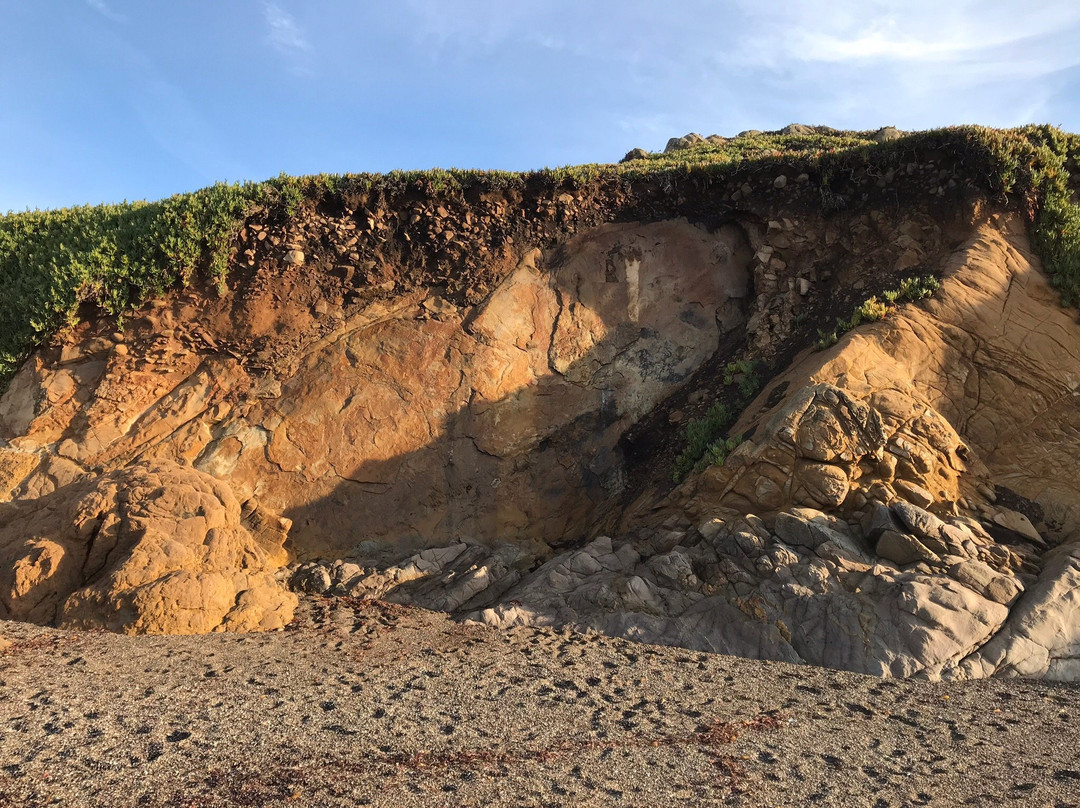 Shamel Park-坎布里亚必去景点