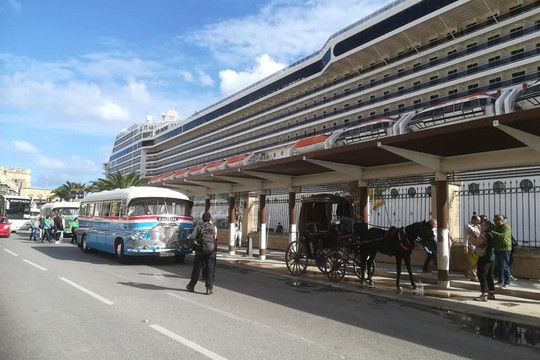 D'Amato Group Limited-瓦莱塔必去景点