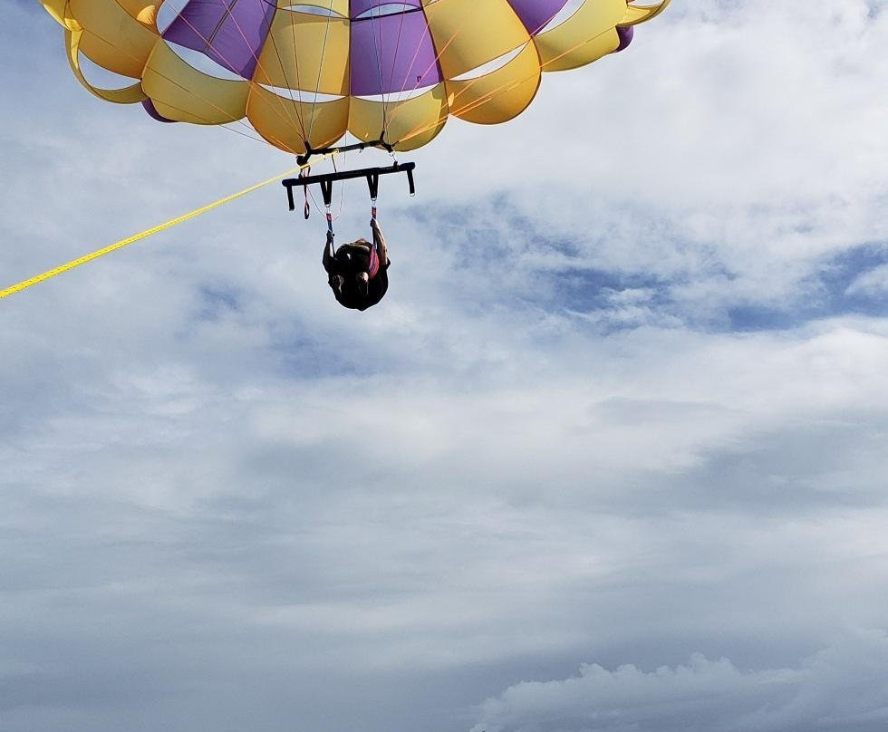 Duck Parasail景点图片