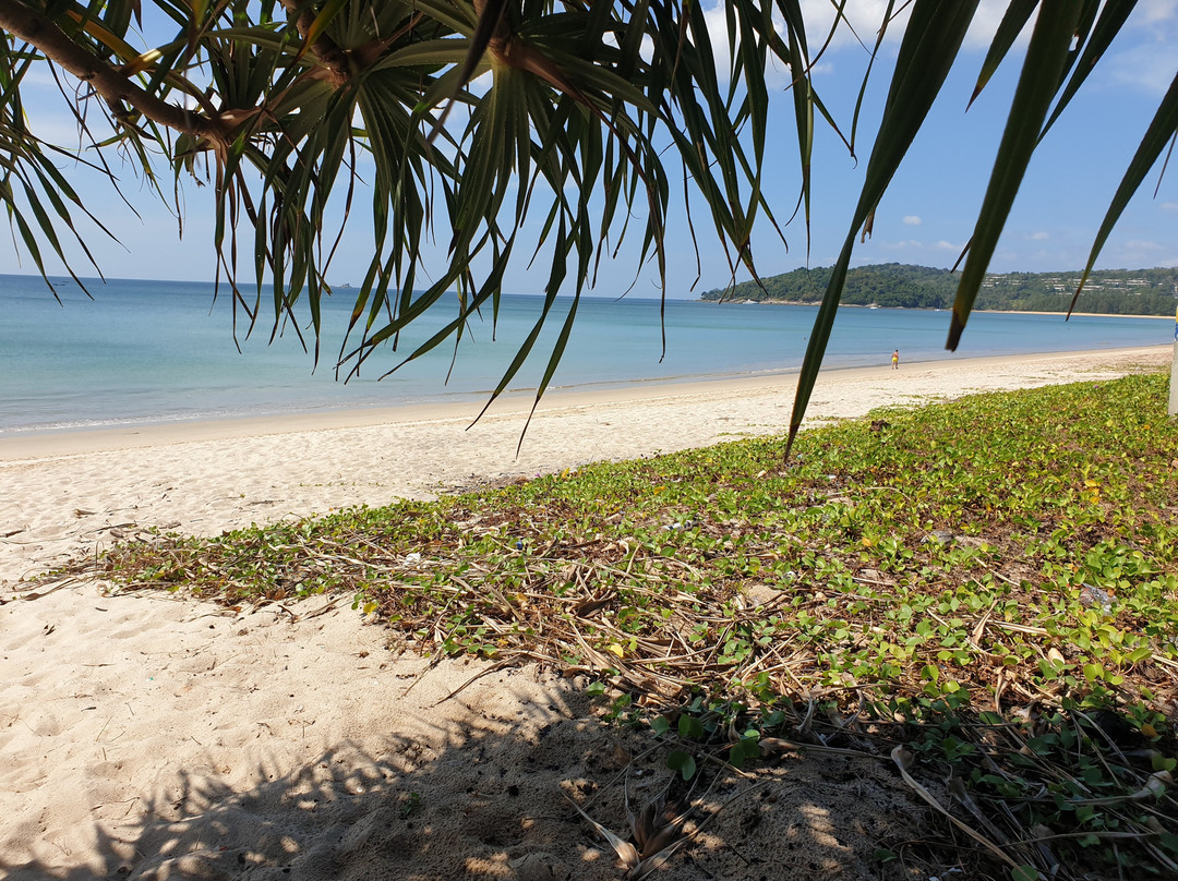 Layan Beach景点图片