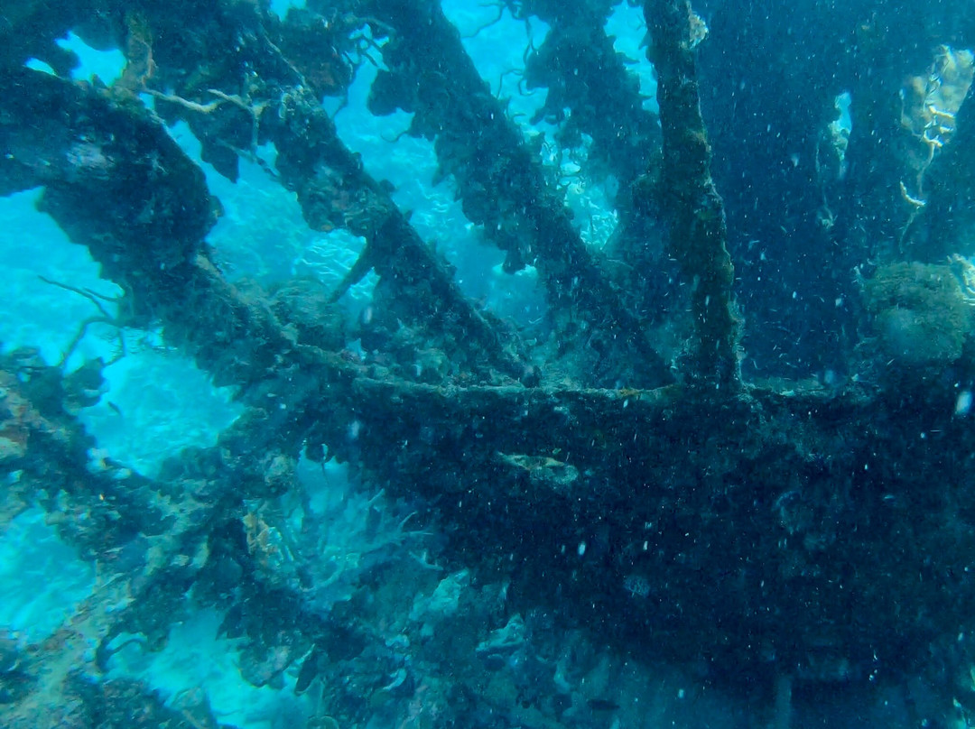 Sunken Japanese Wrecks-科隆必去景点