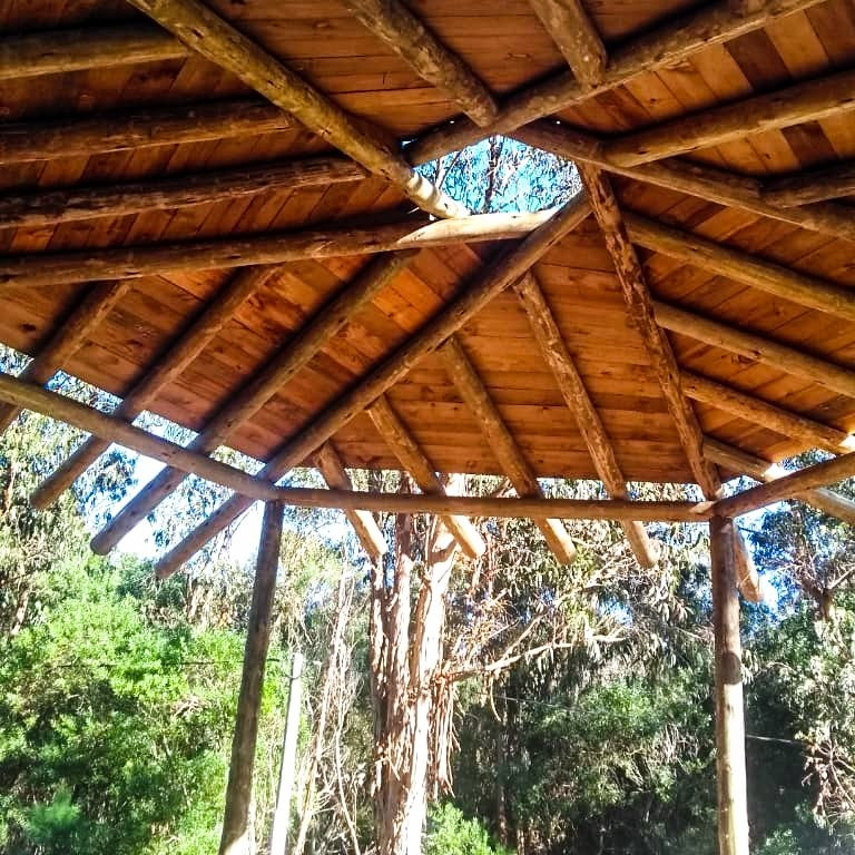 La Esmerelda旅游攻略图片