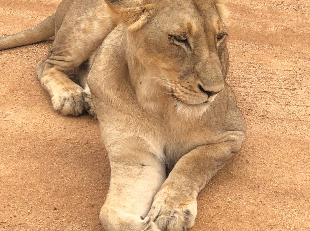 Dawn to Dusk Safaris-雾观必去景点