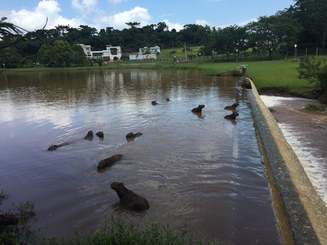 Parque do Lago景点图片