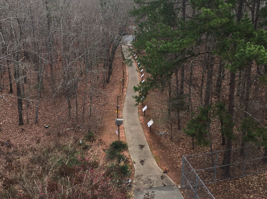 Rock Hawk Effigy and Trails-Eatonton必去景点