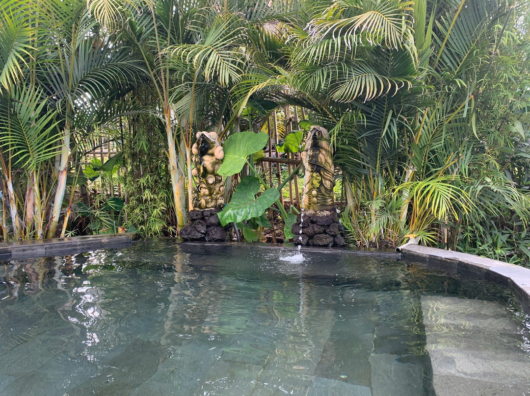 Segara Healing Bali Natural Hot Spring景点图片