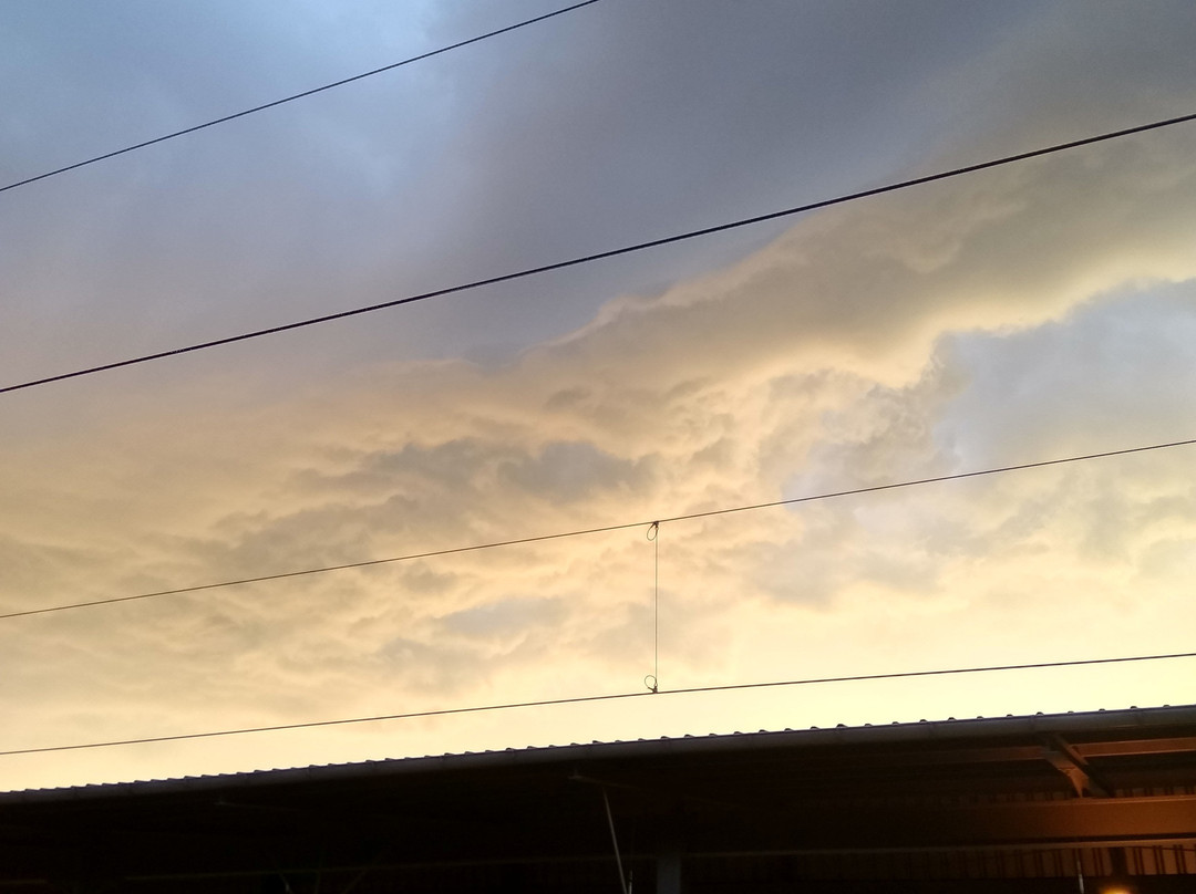 Offenburger Wochenmarkt-奥芬堡必去景点