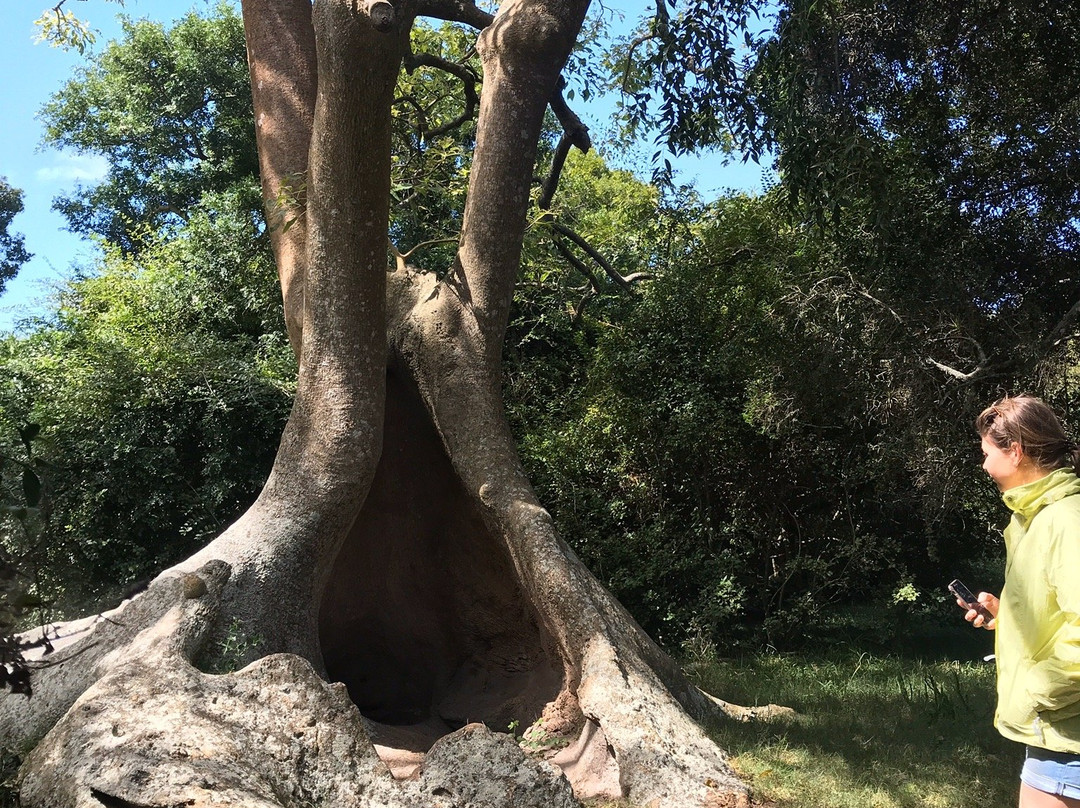 Monte de Ombúes-Valizas必去景点