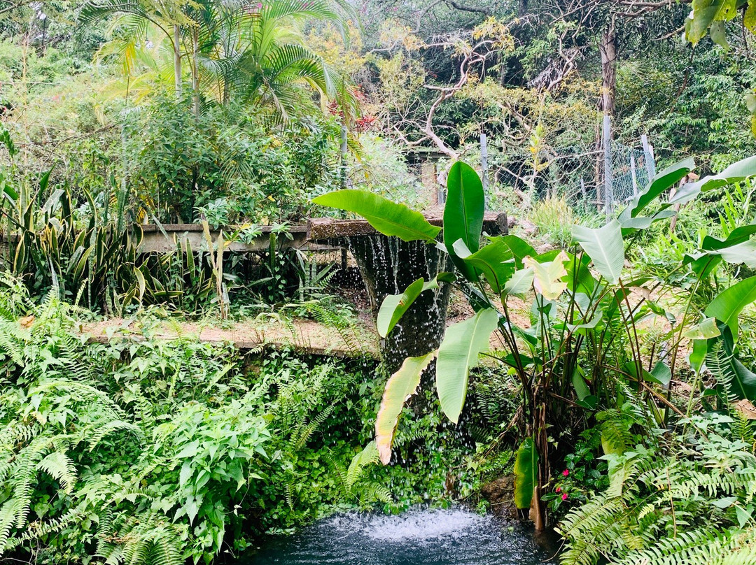 Ravana's Secret主图